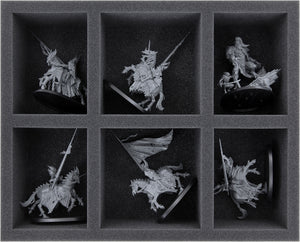 Feldherr Storage Box DSLB310 for Soulblight Gravelords