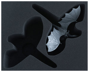 Feldherr Storage Box for Middle-earth Strategy Battle Game - Battle of Pelennor Fields: Evil