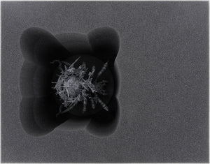 Feldherr Storage Box for Gloomspite Gitz