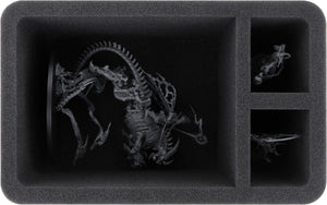 Feldherr Transporter for Soulblight Gravelords